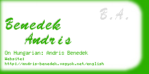benedek andris business card
